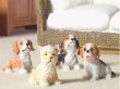 画像1: 子犬4匹セット (1)
