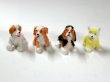画像3: 子犬4匹セット (3)