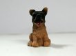 画像1: 子犬 (1)