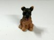 画像2: 子犬 (2)