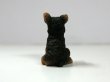 画像4: 子犬 (4)