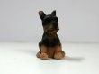 画像1: 子犬 (1)