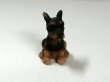 画像2: 子犬 (2)