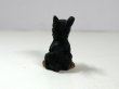 画像4: 子犬 (4)