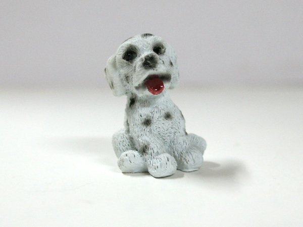 画像1: 子犬 (1)