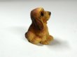 画像1: 子犬 (1)