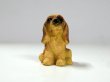 画像2: 子犬 (2)