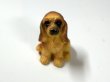 画像3: 子犬 (3)