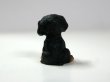 画像4: 子犬 (4)