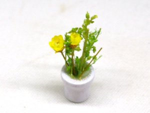 画像2: 鉢植え花　黄