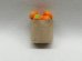 画像1: 紙袋入り果物（オレンジ） (1)