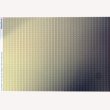 画像3: "PalaceStripe"　olive (3)