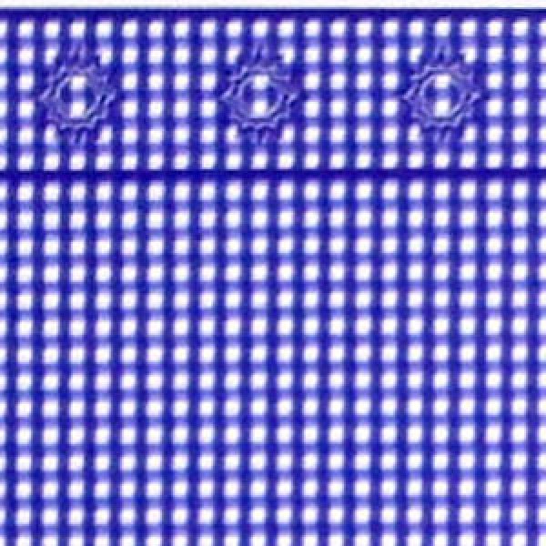 画像1: GINGHAM Blue (1)