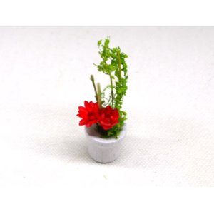 画像: 鉢植え花　赤