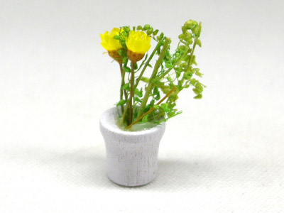 画像1: 鉢植え花　黄