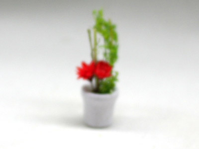 画像2: 鉢植え花　赤