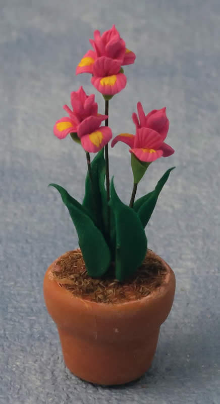 1/12サイズのドールハウス用ミニチュア　アヤメ（Irisアイリス）鉢植え